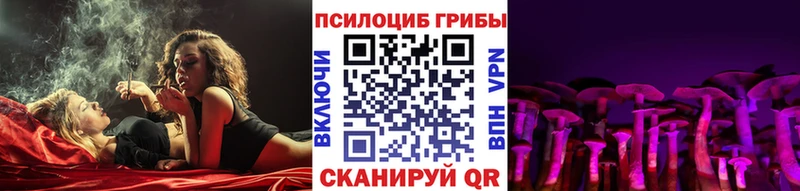 Псилоцибиновые грибы Psilocybe  Купить закладки  Пермь 